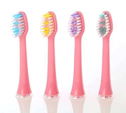 Algopix Similar Product 11 - Replacement Brush Heads for Ivation