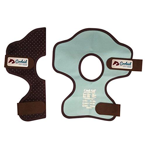 Algopix Similar Product 12 - Equine IcingCooling Therapeutic Hock
