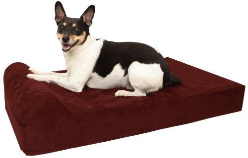 Algopix Similar Product 10 - 