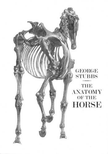Algopix Similar Product 20 - The Anatomy of the Horse