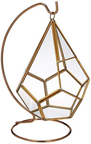 Algopix Similar Product 5 - Circleware 32502 Terraria Glass Plant