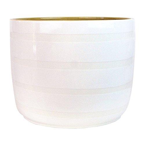 Algopix Similar Product 20 - Pebble and Plank Party Bowls, Set of 2