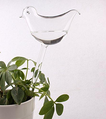 Algopix Similar Product 5 - 