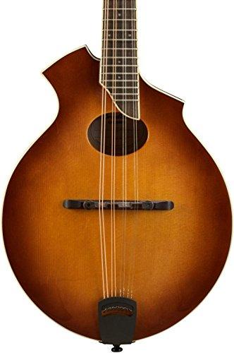 Algopix Similar Product 7 - Breedlove Crossover KO Mandolin Sunburst