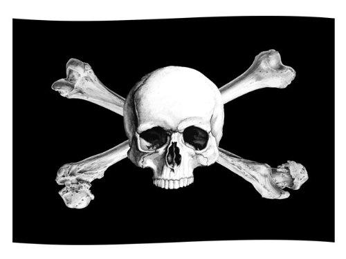Algopix Similar Product 17 - Pirate Flag (Bumper Sticker)