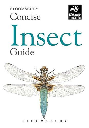 Algopix Similar Product 18 - Concise Insect Guide Bloomsbury