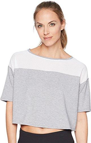 Algopix Similar Product 6 - 