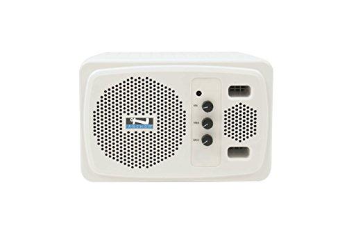 Algopix Similar Product 13 - Anchor Audio White AN130 speaker with