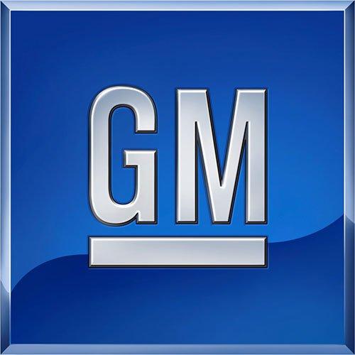 Algopix Similar Product 3 - Genuine GM 15762537 Headlamp Washer