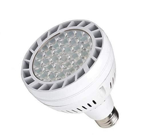 Algopix Similar Product 1 - 