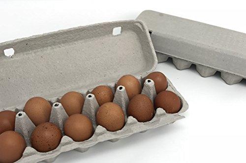 Algopix Similar Product 3 - Pulp Egg Cartons Blank Flattop Style