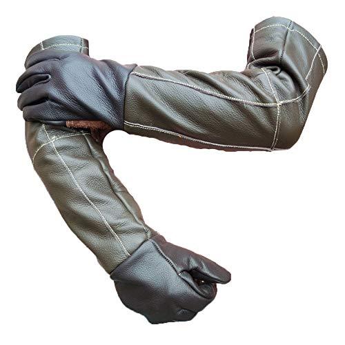 Algopix Similar Product 14 - Cutproof protective gloves Anticat