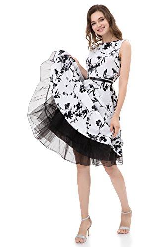 Algopix Similar Product 4 - 