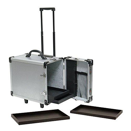 Algopix Similar Product 17 - SSWBasics Jewelry Case for Travel and