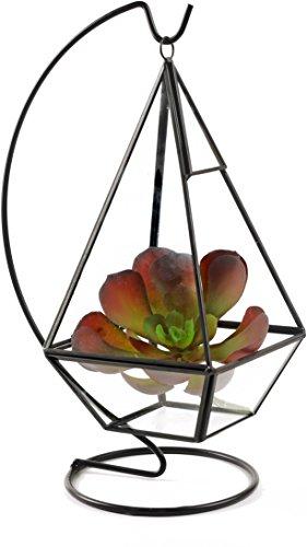 Algopix Similar Product 20 - Circleware 32507 Terraria Terrarium