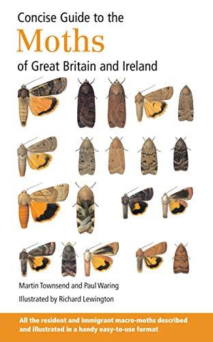Algopix Similar Product 5 - Concise Guide to the Moths of Great