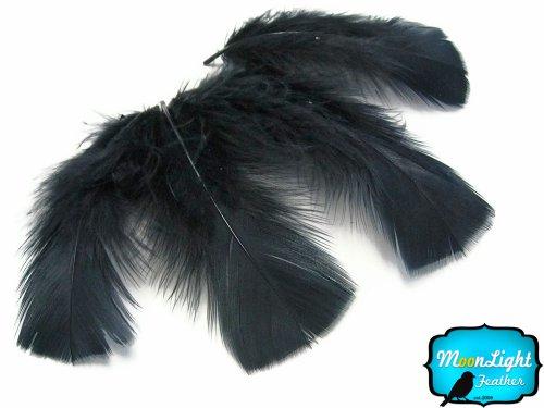 Algopix Similar Product 17 - Turkey Feathers Turkey Plumage  Black