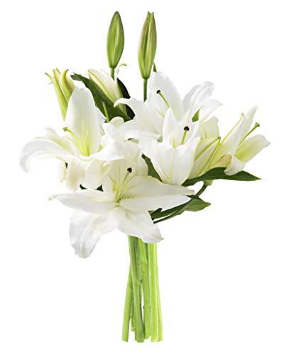 Algopix Similar Product 20 - KaBloom Pure Love Bouquet of Fresh