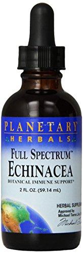 Algopix Similar Product 16 - Full Spectrum Echinacea Liquid Extract