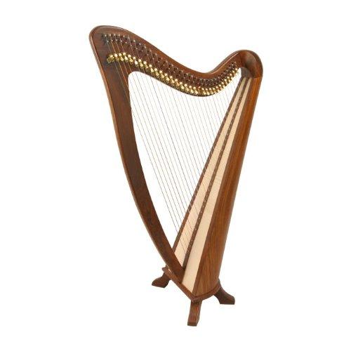 Algopix Similar Product 5 - EMS Ashley Harpâ„ 31-String *Blemished