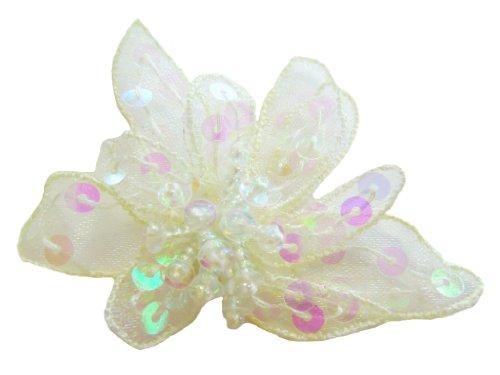 Algopix Similar Product 14 - Cuteque International 6Piece Organza