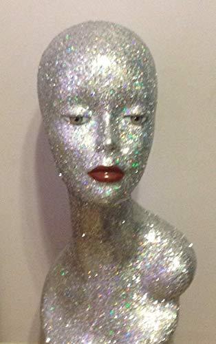 Algopix Similar Product 7 - Silver Mannequin Head with iridescent