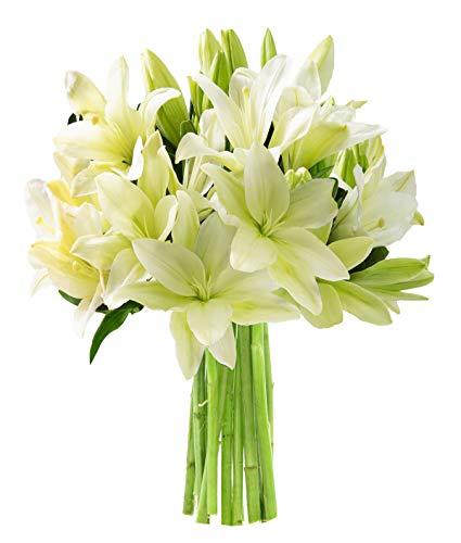 Algopix Similar Product 9 - California Grown Collection Bouquet of