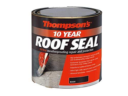 Algopix Similar Product 20 - Ronseal Thompsons High Performance Roof
