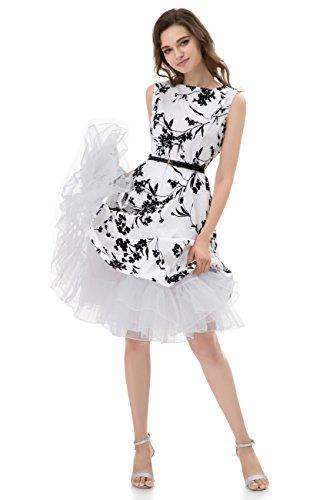 Algopix Similar Product 19 - 