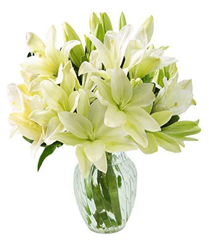 Algopix Similar Product 3 - California Grown Collection Bouquet of