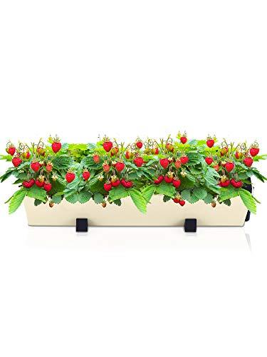 Algopix Similar Product 13 - Self Watering Planter for Vertical