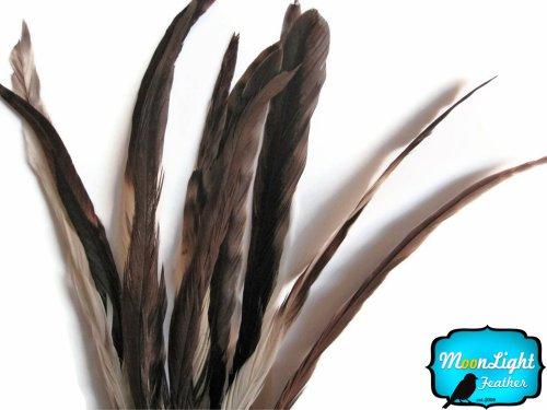 Algopix Similar Product 20 - Rooster Tails Natural Chinchilla Coque