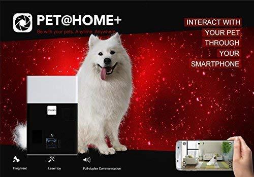 Algopix Similar Product 14 - iPATROL Alexa Enabled PetHome Pet