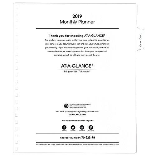 Algopix Similar Product 17 - ATAGLANCE 2019 Monthly Planner