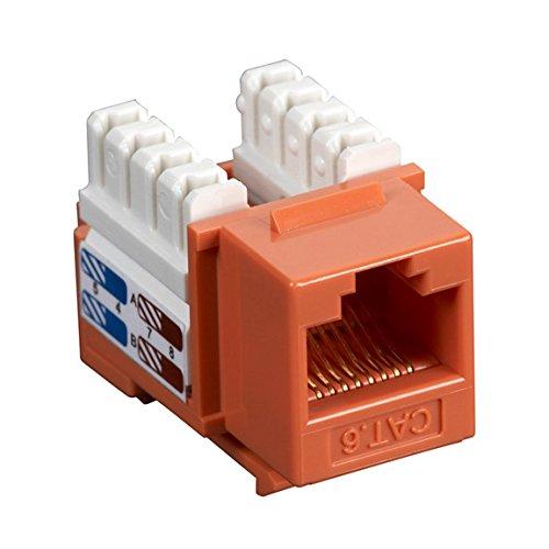 Algopix Similar Product 10 - LAN WORKGROUP V5.0  250-USER