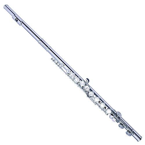 Algopix Similar Product 14 - LD Long Di Flute Professional Silver