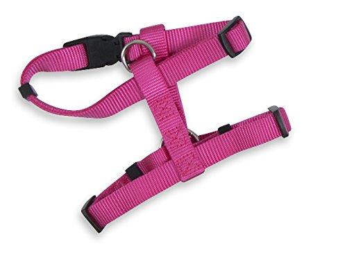 Algopix Similar Product 7 - Aspen Pet Products Standard Harness