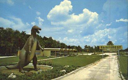 Algopix Similar Product 12 - Wildwood, Florida Postcard