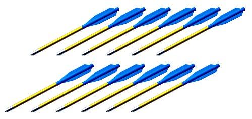 Algopix Similar Product 12 - BOLT Crossbows Aluminum Youth Bolts 12