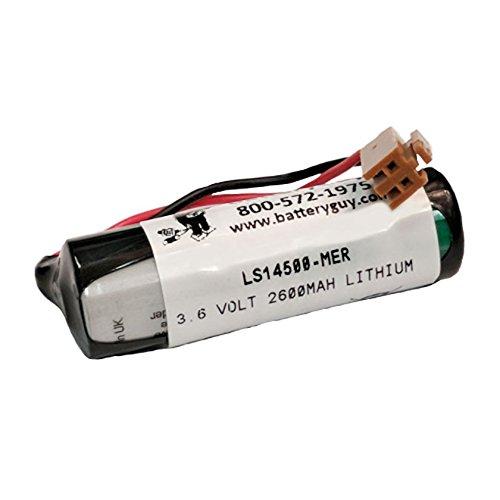 Algopix Similar Product 10 - BatteryGuy LS14500MER 36V 2600mah PLC