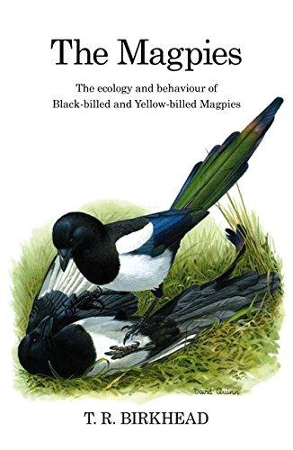 Algopix Similar Product 4 - The Magpies The Ecology and Behaviour