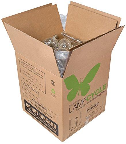Algopix Similar Product 8 - EverLights RHID100 LampCycle HID Lamp