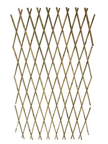 Algopix Similar Product 12 - Expandable Bamboo Poles Trellis with