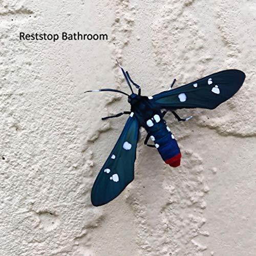 Algopix Similar Product 13 - Spanish Dance Ballads [Explicit]
