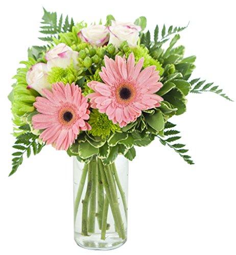 Algopix Similar Product 6 - KaBloom Sweet Pea Gerbera Bouquet
