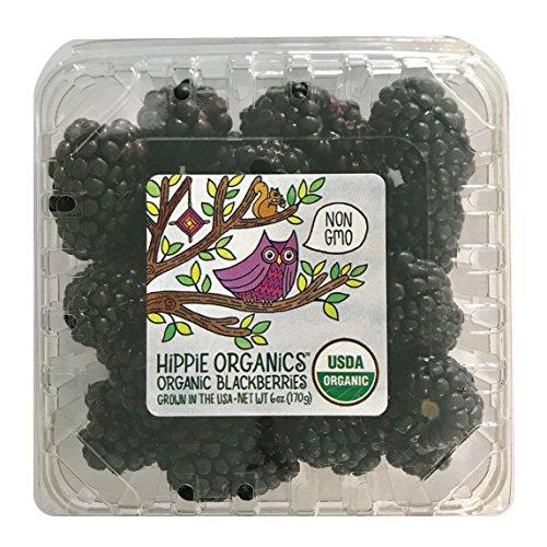 Algopix Similar Product 6 - Alpine Fresh Domestic Organic