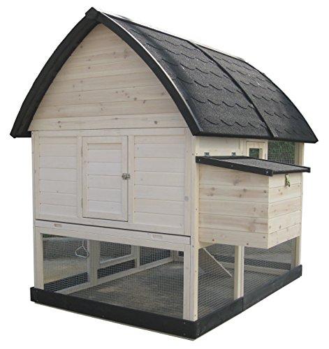 Algopix Similar Product 8 - Coops  Feathers 23589 Country Coop