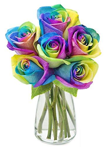 Algopix Similar Product 2 - Fresh Cut Rainbow Rose Bouquet of 6