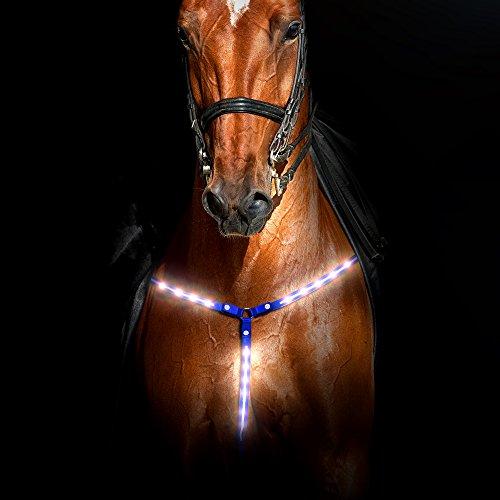 Algopix Similar Product 18 - Rural365 Reflective Horse Tack LED