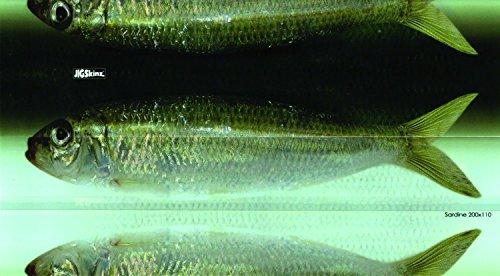 Algopix Similar Product 4 - JigSkinz JZRLSDL4 Real Life Fishing